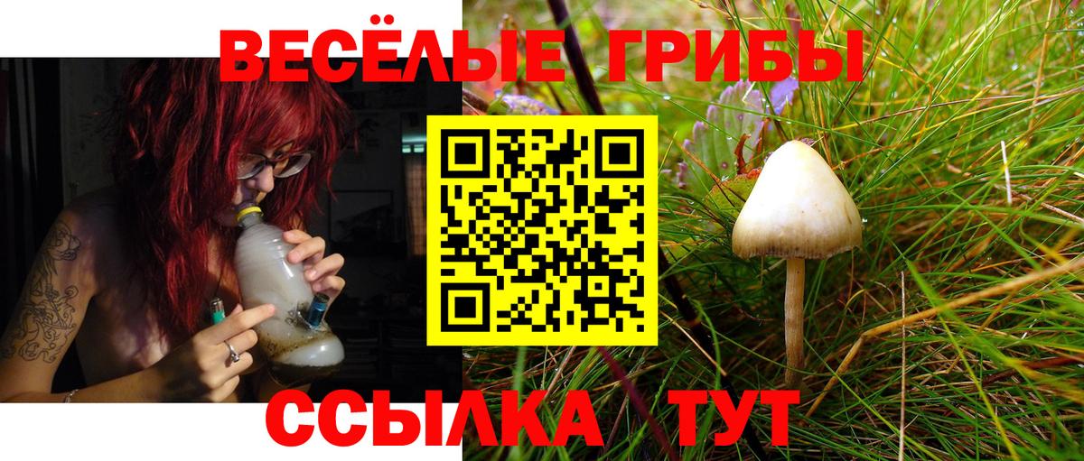 Галлюциногенные грибы прущие грибы Спасск-Дальний